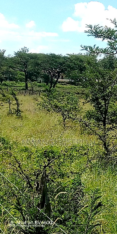 40 Acres of Land for Sale in Kiserian - Image 2