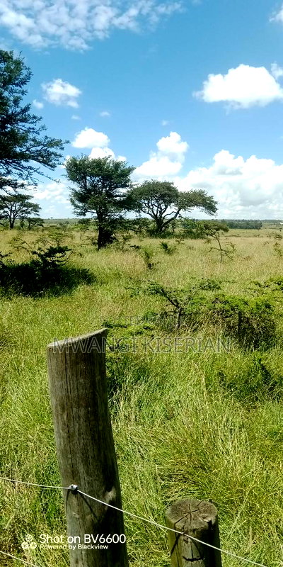 40 Acres of Land for Sale in Kiserian - Image 9