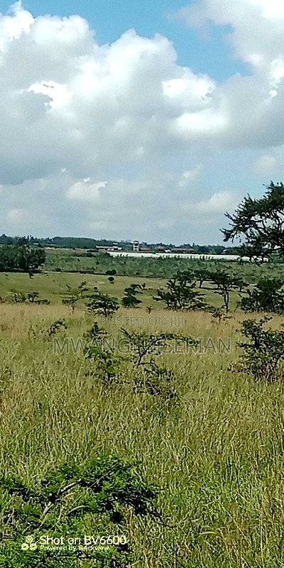 40 Acres of Land for Sale in Kiserian - Image 3