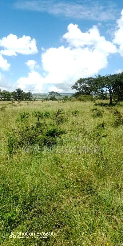 40 Acres of Land for Sale in Kiserian - Image 6