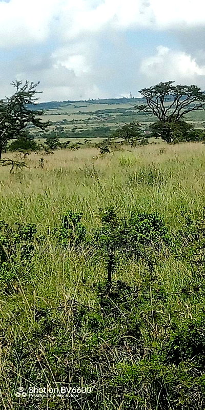 40 Acres of Land for Sale in Kiserian - Image 4