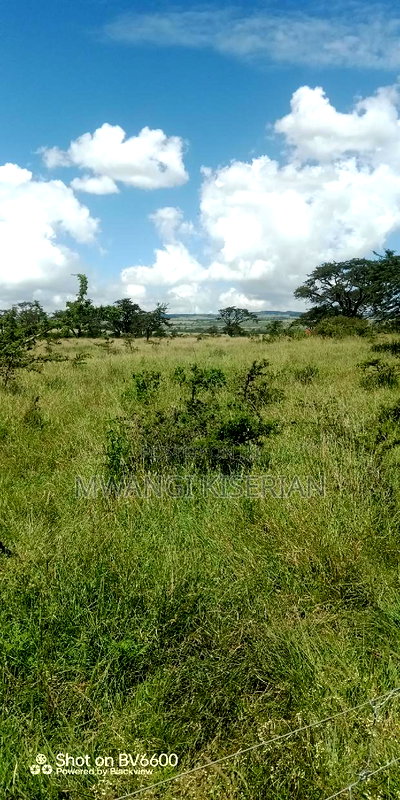 40 Acres of Land for Sale in Kiserian - Image 13