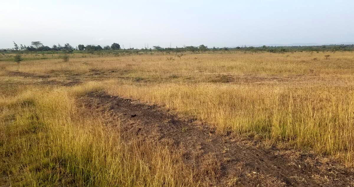 3-Acre Farm for KSh 4.3M