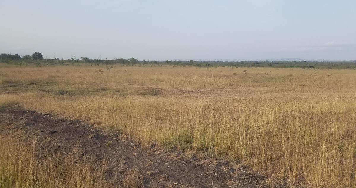 3-Acre Farm for KSh 4.3M