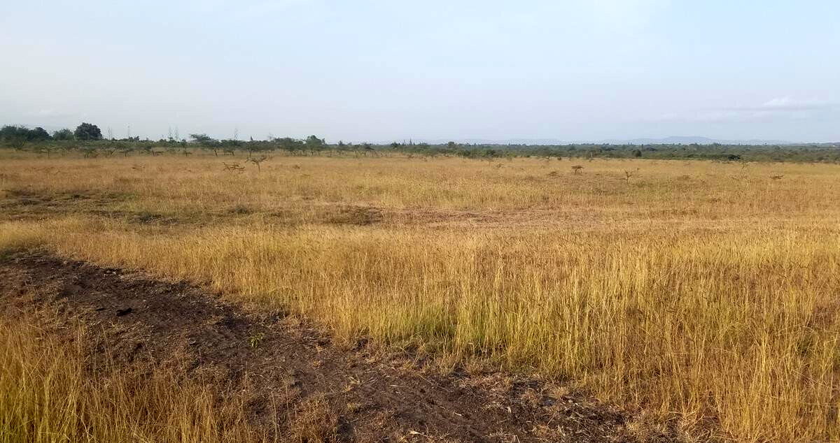 3-Acre Farm for KSh 4.3M