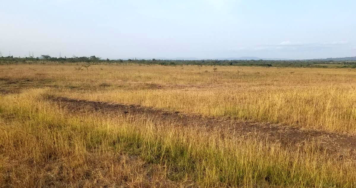 3-Acre Farm for KSh 4.3M