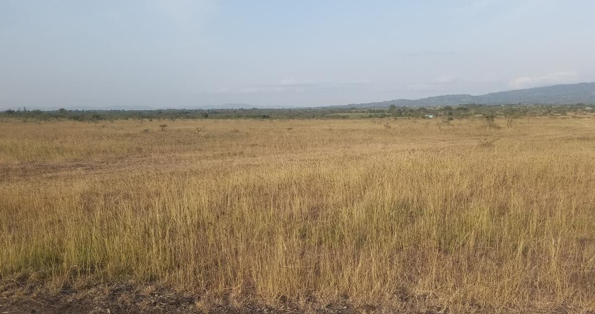 3-Acre Farm for KSh 4.3M