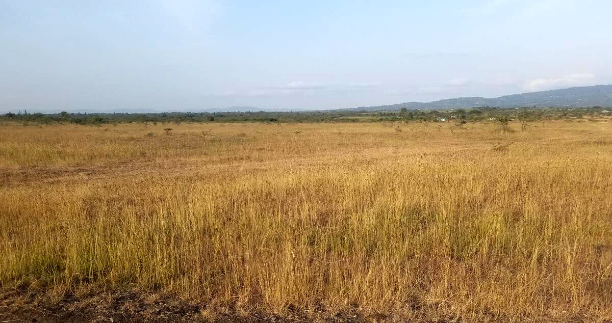 3-Acre Farm for KSh 4.3M