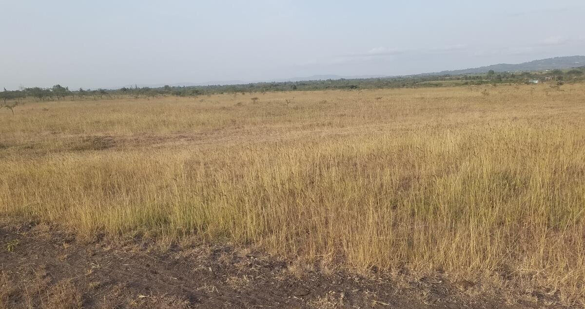 3-Acre Farm for KSh 4.3M