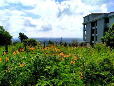 Half Acre 2nd Row Plot in Ngong Along Lemiso Rd, Scenic View - Image 2