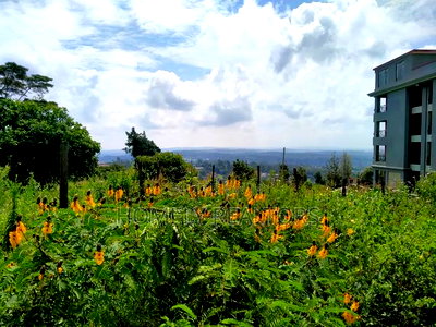 Half Acre 2nd Row Plot in Ngong Along Lemiso Rd, Scenic View - Image 1