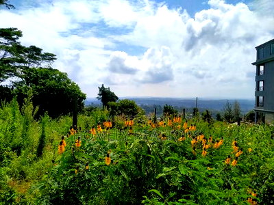 Half Acre 2nd Row Plot in Ngong Along Lemiso Rd, Scenic View - Image 3