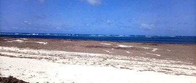 KSh 1B Beach Plot with Garden