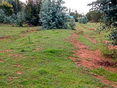 Exquisite Prime 50*100 Plots - Image 4