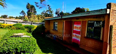 3bdrm Bungalow in Iten Cbd, Kamariny for sale - Image 4