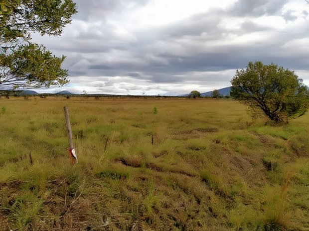 1 Acre for Sale at Kendong Naivasha