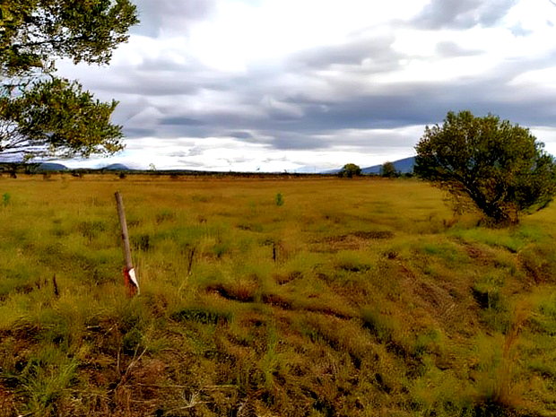 1 Acre for Sale at Kendong Naivasha