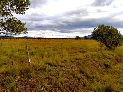 1 Acre for Sale at Kendong Naivasha - Image 1
