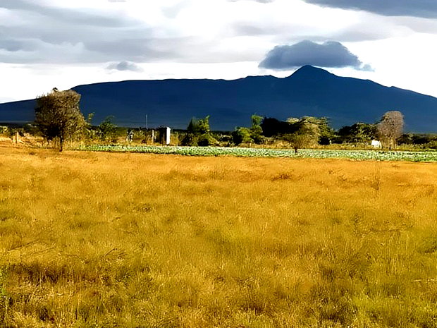 1 Acre for Sale at Kendong Naivasha