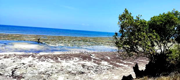 4 Acres Beach 1 in Diani at 46m