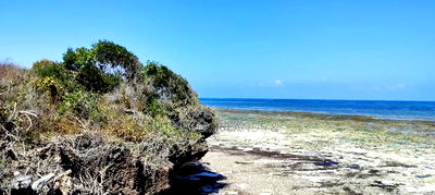 4 Acres Beach 1 in Diani at 46m - Image 6