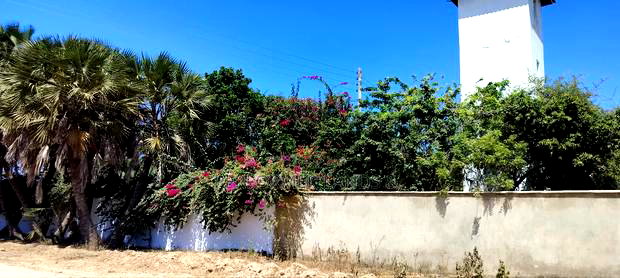 4 Acres Beach 1 in Diani at 46m
