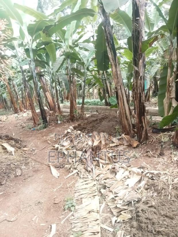 4bdrm Farm House in Kerugoya for sale