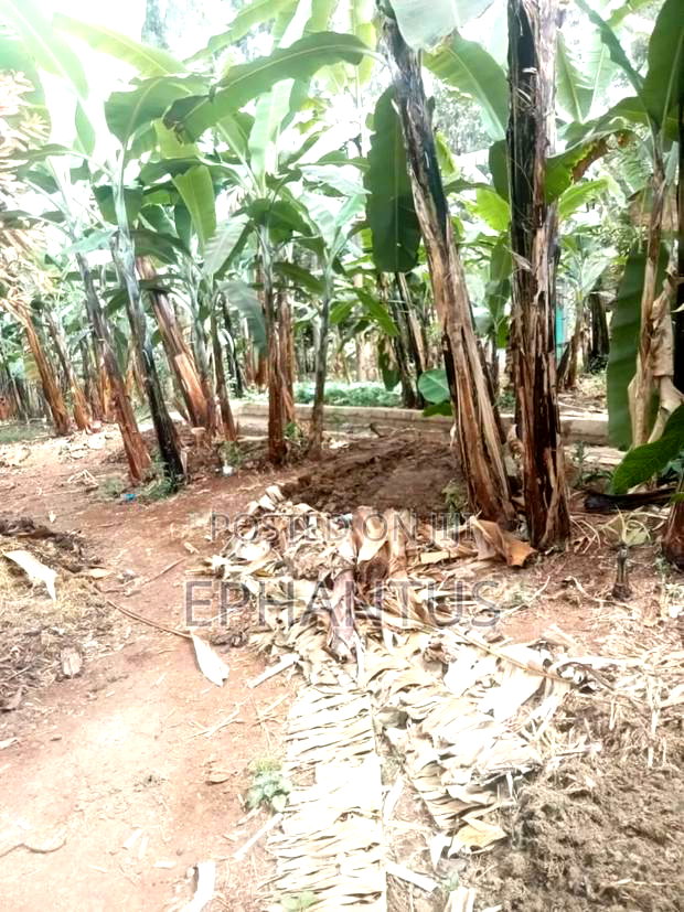 4bdrm Farm House in Kerugoya for sale