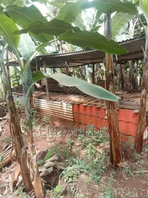 4bdrm Farm House in Kerugoya for sale