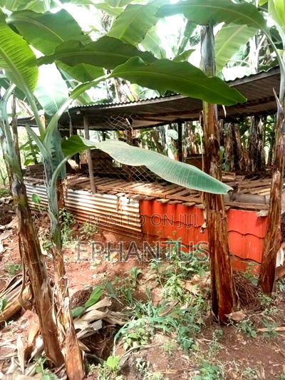 4bdrm Farm House in Kerugoya for sale - Image 8