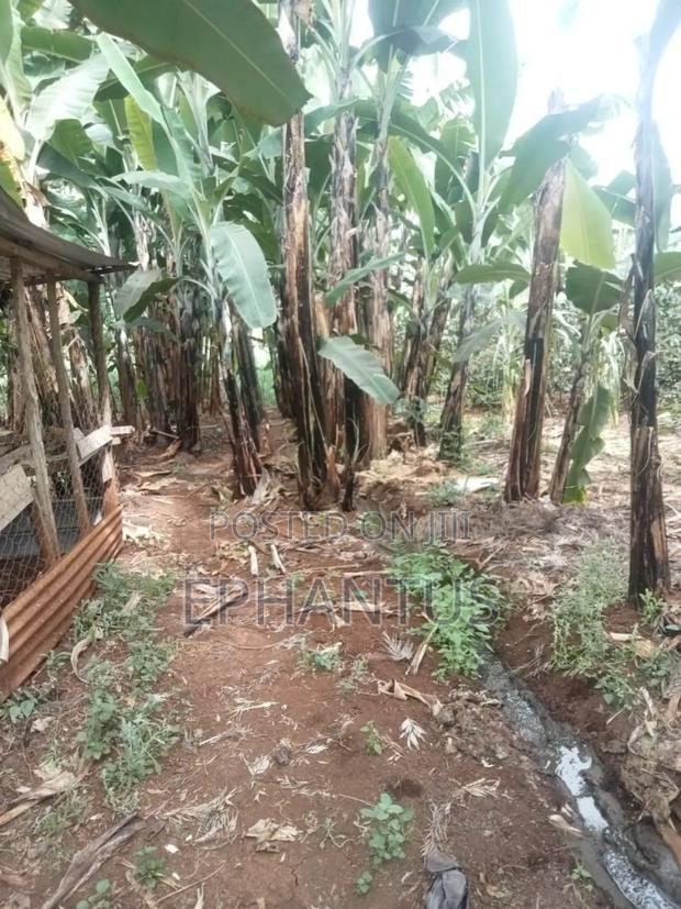 4bdrm Farm House in Kerugoya for sale