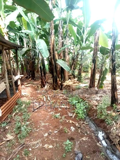 4bdrm Farm House in Kerugoya for sale - Image 6