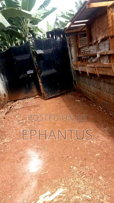 4bdrm Farm House in Kerugoya for sale - Image 3