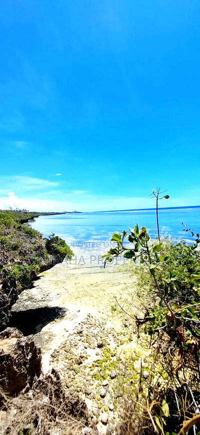 For Sale 25 Acres Beach Land Tiwi - Image 5