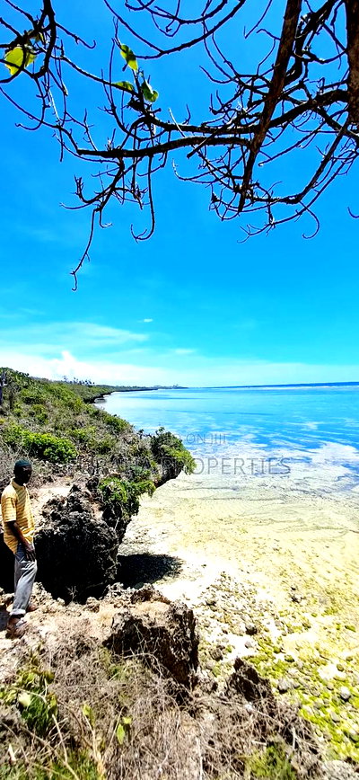For Sale 25 Acres Beach Land Tiwi - Image 7