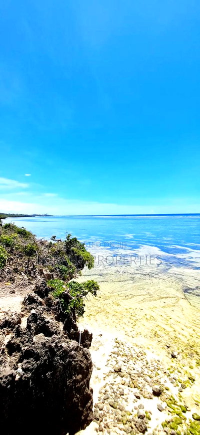 For Sale 25 Acres Beach Land Tiwi - Image 4