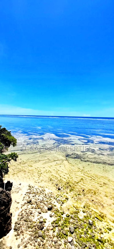 For Sale 25 Acres Beach Land Tiwi - Image 3