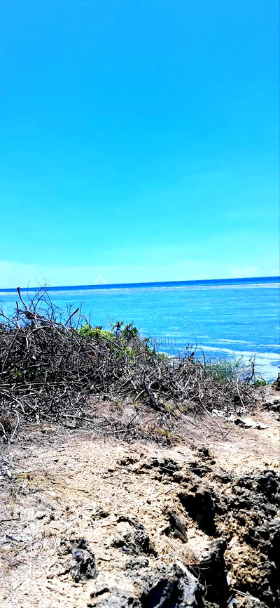 For Sale 25 Acres Beach Land Tiwi - Image 2