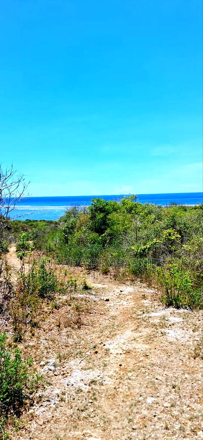 For Sale 25 Acres Beach Land Tiwi - Image 1