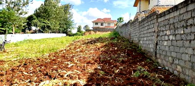 Quarter Acre+ 1/8 Acre Plot for Sale in Ngong - Image 2