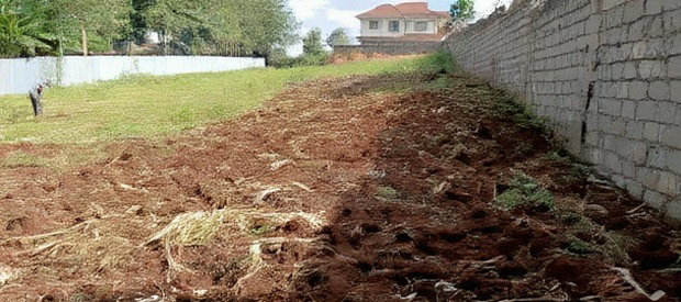 Quarter Acre+ 1/8 Acre Plot for Sale in Ngong