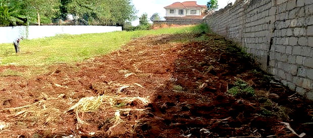 Quarter Acre+ 1/8 Acre Plot for Sale in Ngong