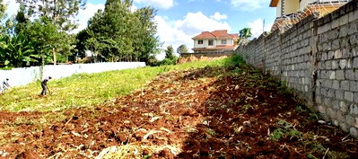Quarter Acre+ 1/8 Acre Plot for Sale in Ngong - Image 3