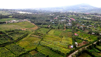 1/4 Acre Kibiku at 6m - Image 7