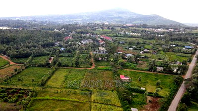 1/4 Acre Kibiku at 6m - Image 5