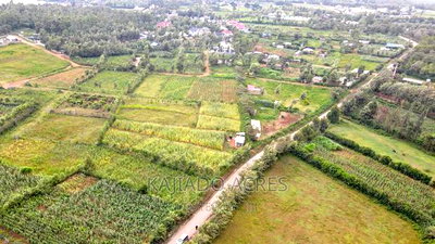 1/4 Acre Kibiku at 6m - Image 8