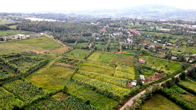 1/4 Acre Kibiku at 6m - Image 9