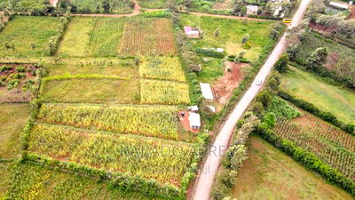 1/4 Acre Kibiku at 6m - Image 3