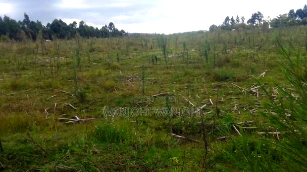 Prime 1 Acre in Gatimu