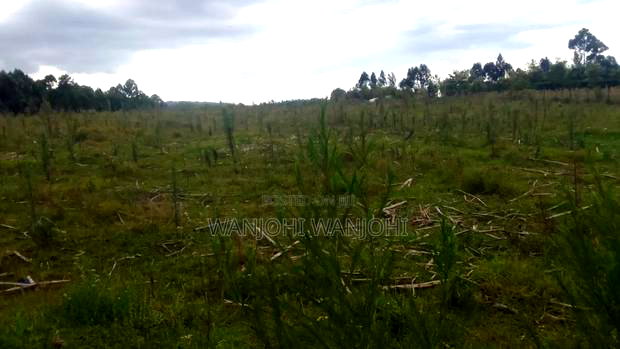 Prime 1 Acre in Gatimu